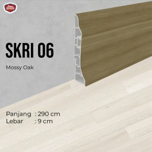 skri06